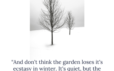 a gardener’s thoughts about wintering
