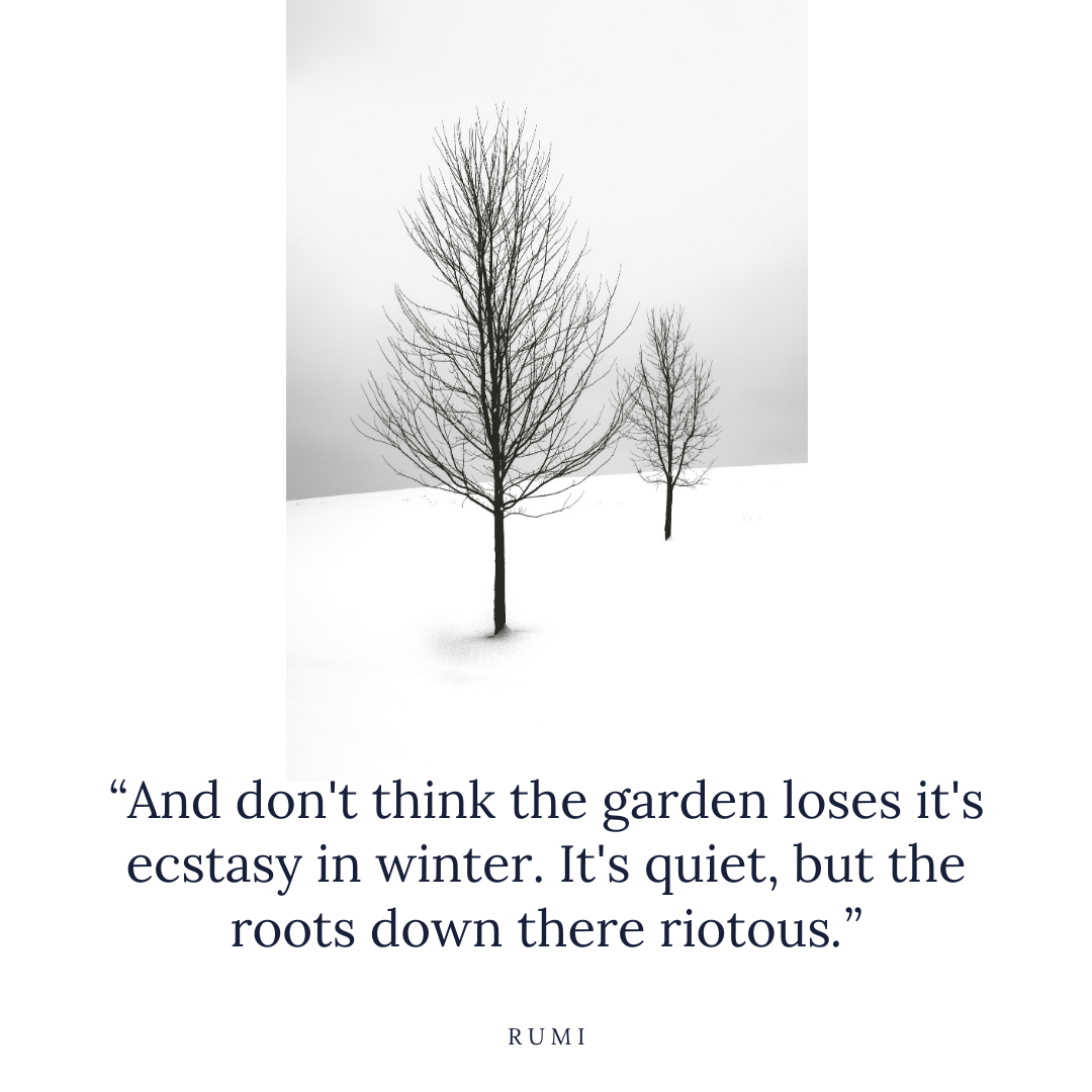 roots are riotous - rumi